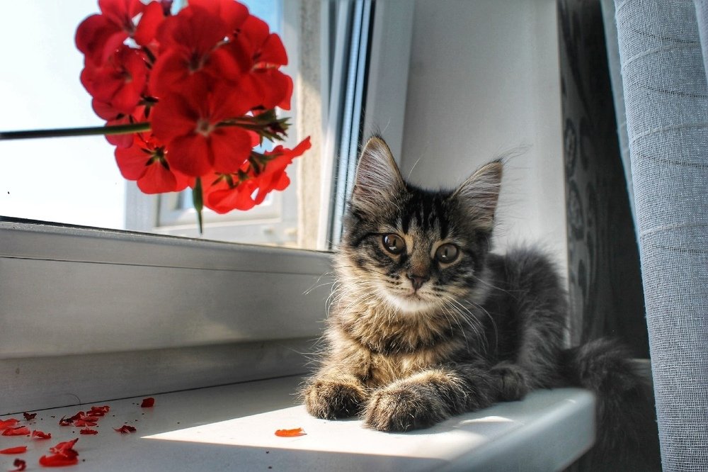 Photograph by Екатерина Хабарова