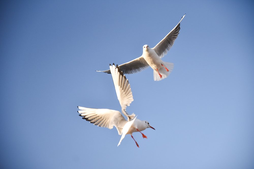 Photograph by Захар Петров