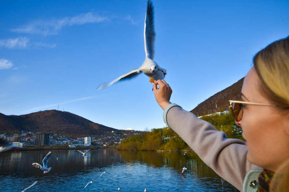 Photograph by Захар Петров