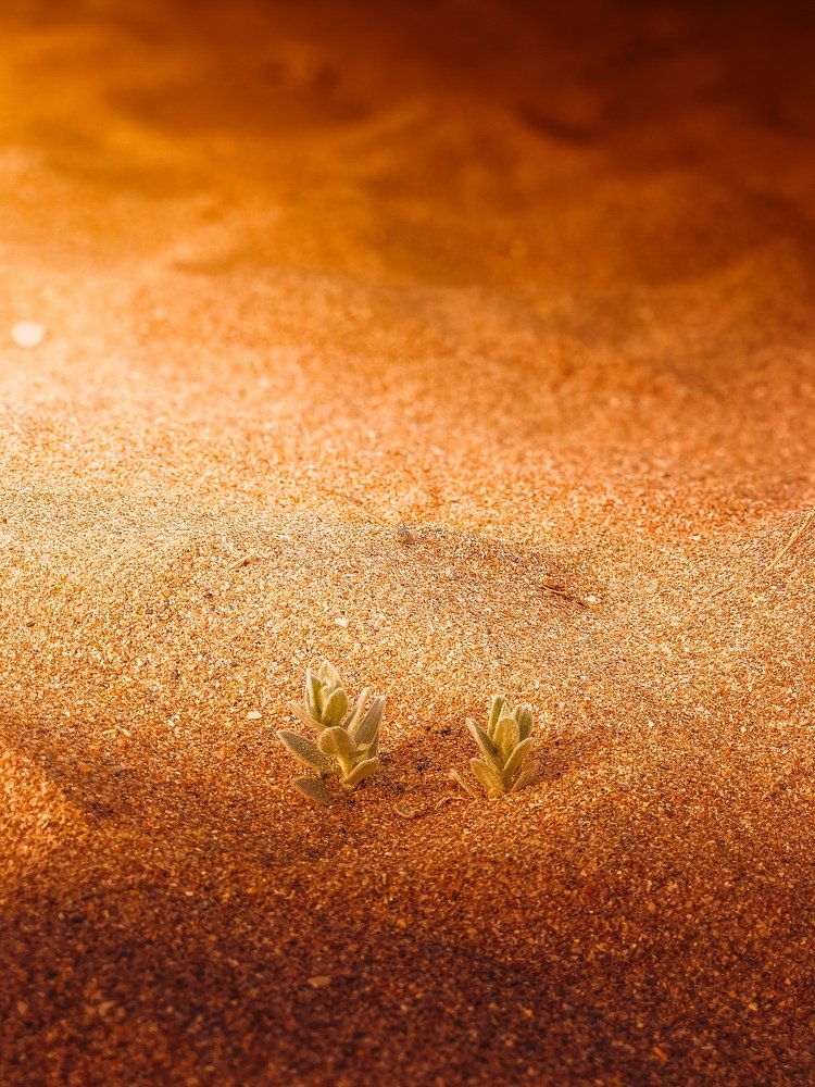 Photograph by Марат Болатханов