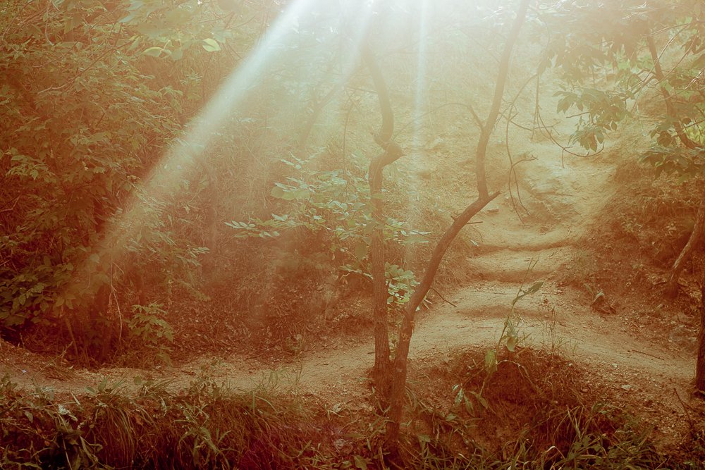 Photograph by Людмила Швец