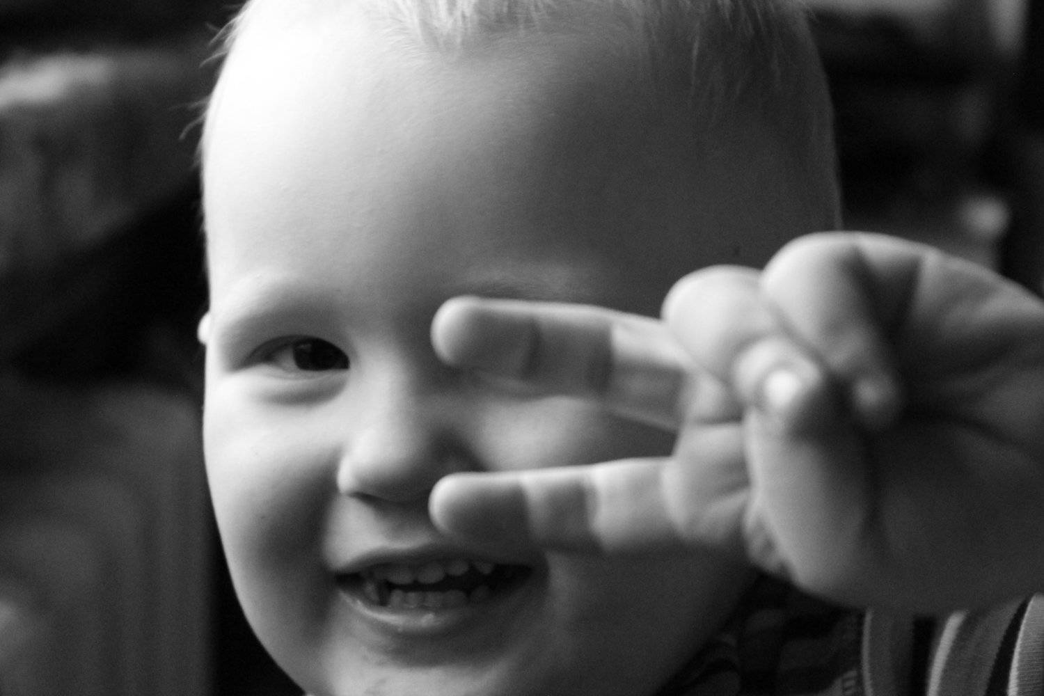 Photo #5067365