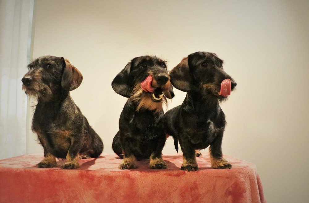 Photograph by Inga Butkovski