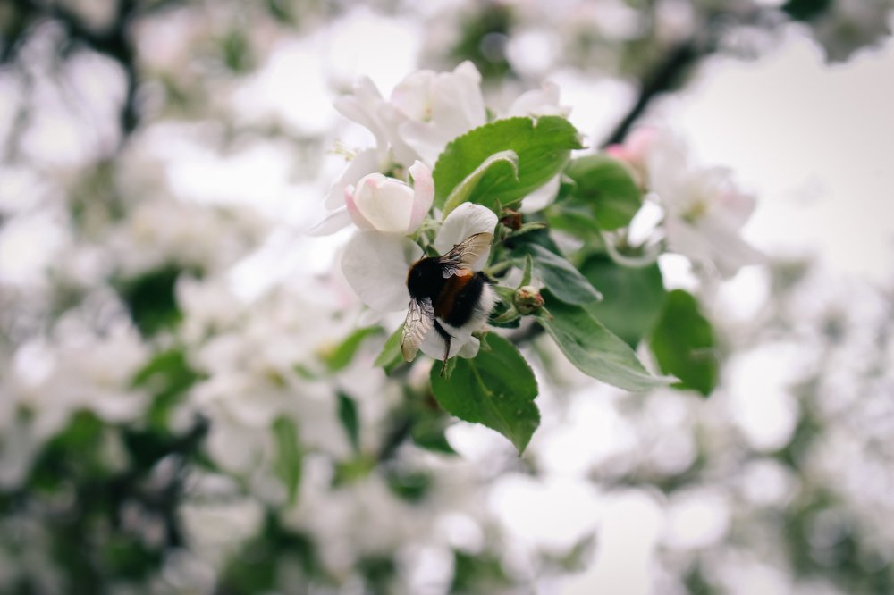 Photograph by Денис Тетерев