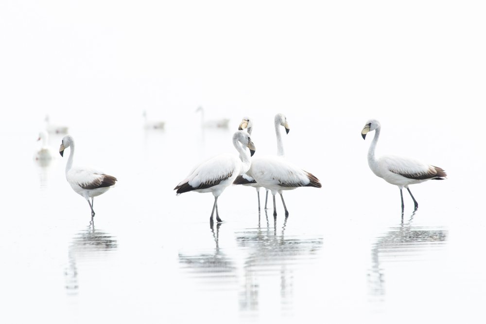 Photograph by Mauricio Morales