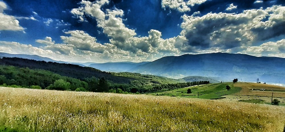 Фотография автора Milan Stipanovic