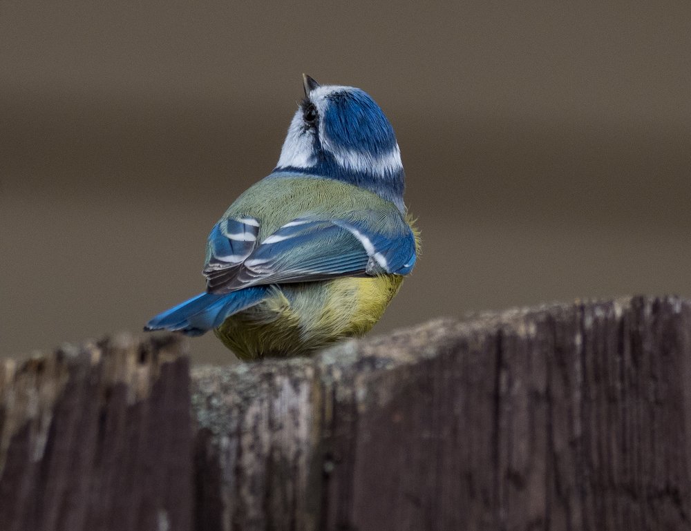 Photograph by Курлянцев Алексей