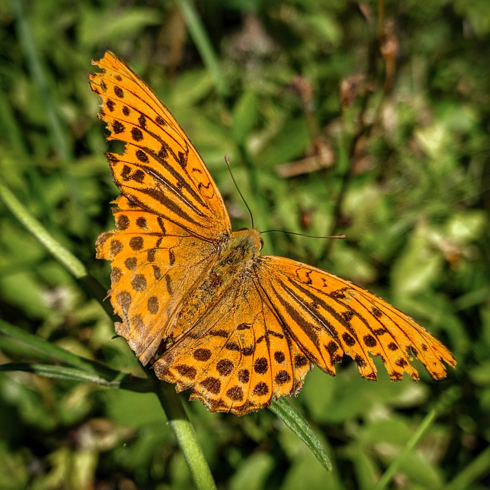 Photograph by Наталья Егорова