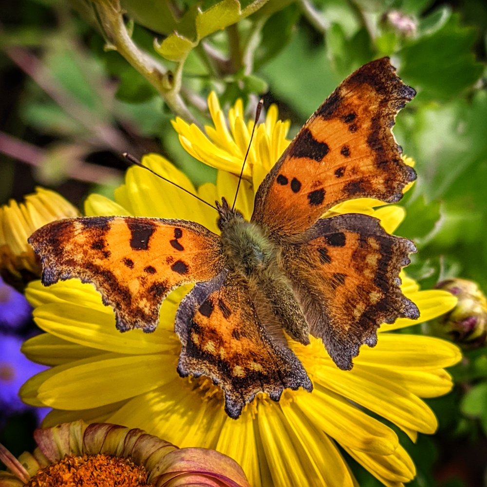 Photograph by Наталья Егорова