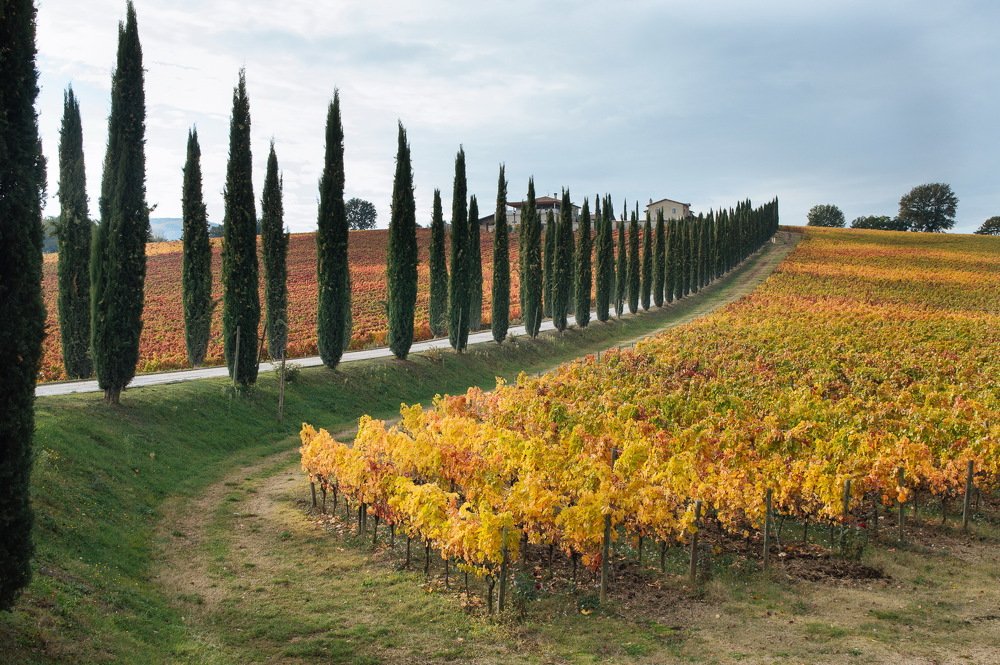 Photograph by Olga Merolla