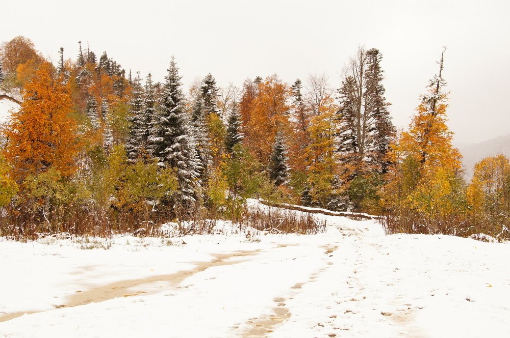 Photograph by Марина Гнедаш