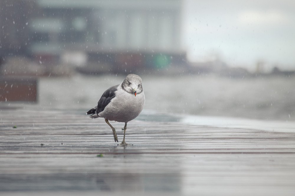 Photograph by Andrey Matveenko