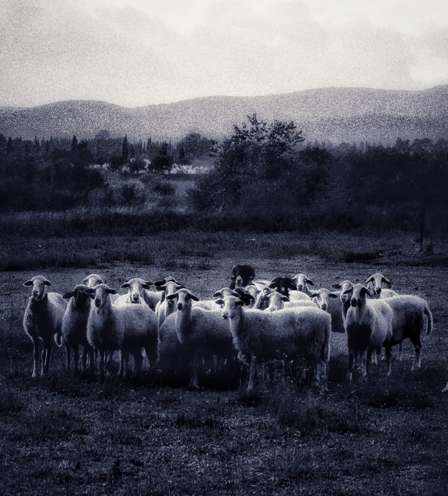 Photograph by Marilena Filaiti