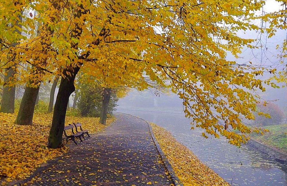 Photograph by Marina