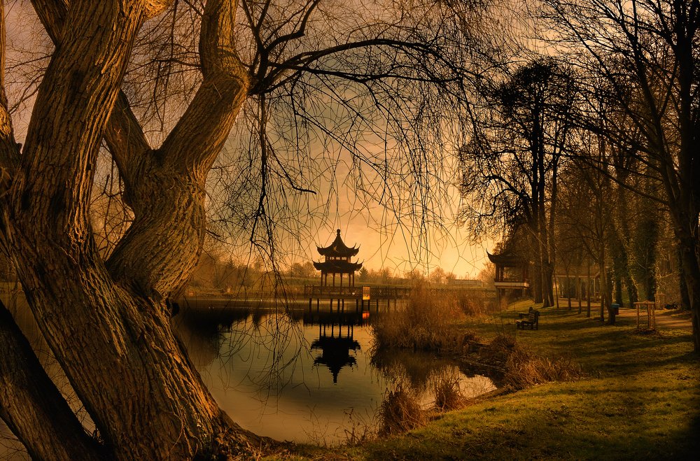 Фотография автора Tatiana Kadotschnikow