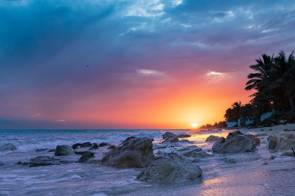 Photograph by Miguel Diaz