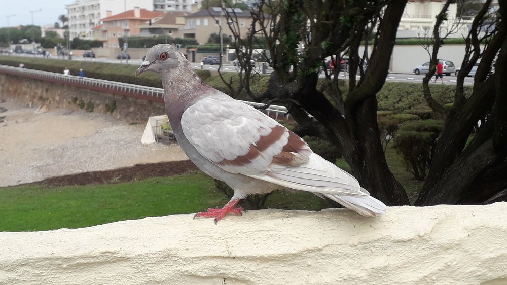 Photograph by Mónica Silva