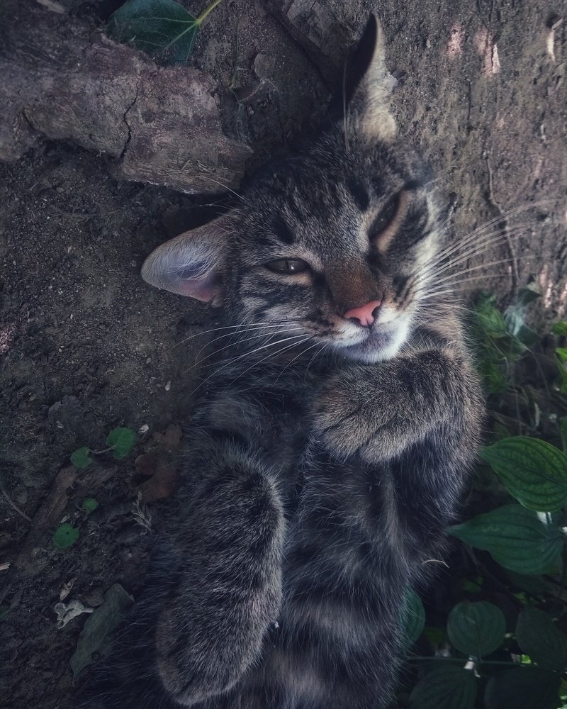 Photograph by Светлана Безъязычная