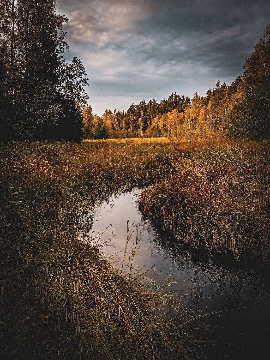 Карельская природа!
