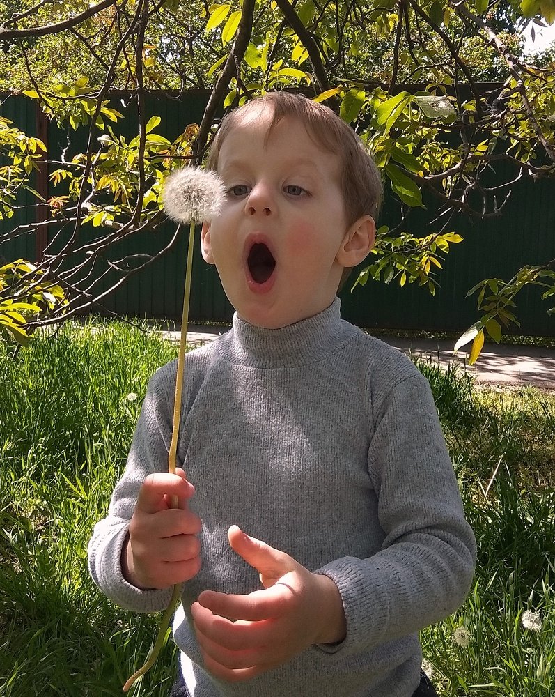 Photograph by Светлана Безъязычная