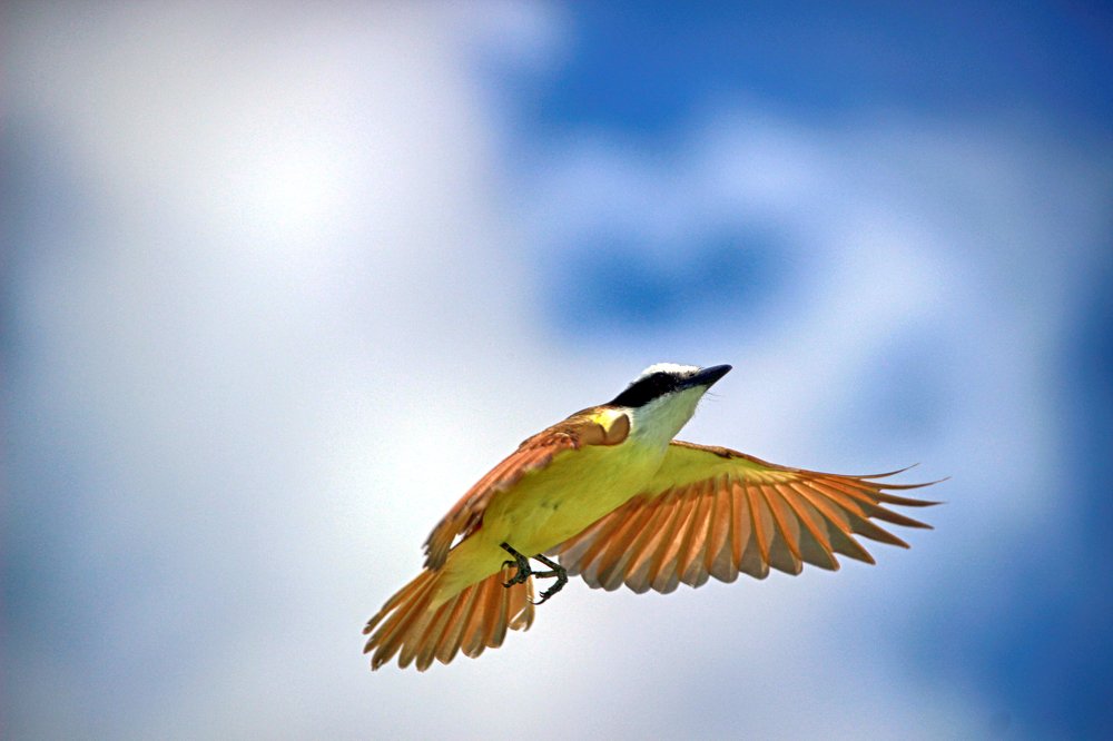 Photograph by Luis Javier Arrillaga Morones