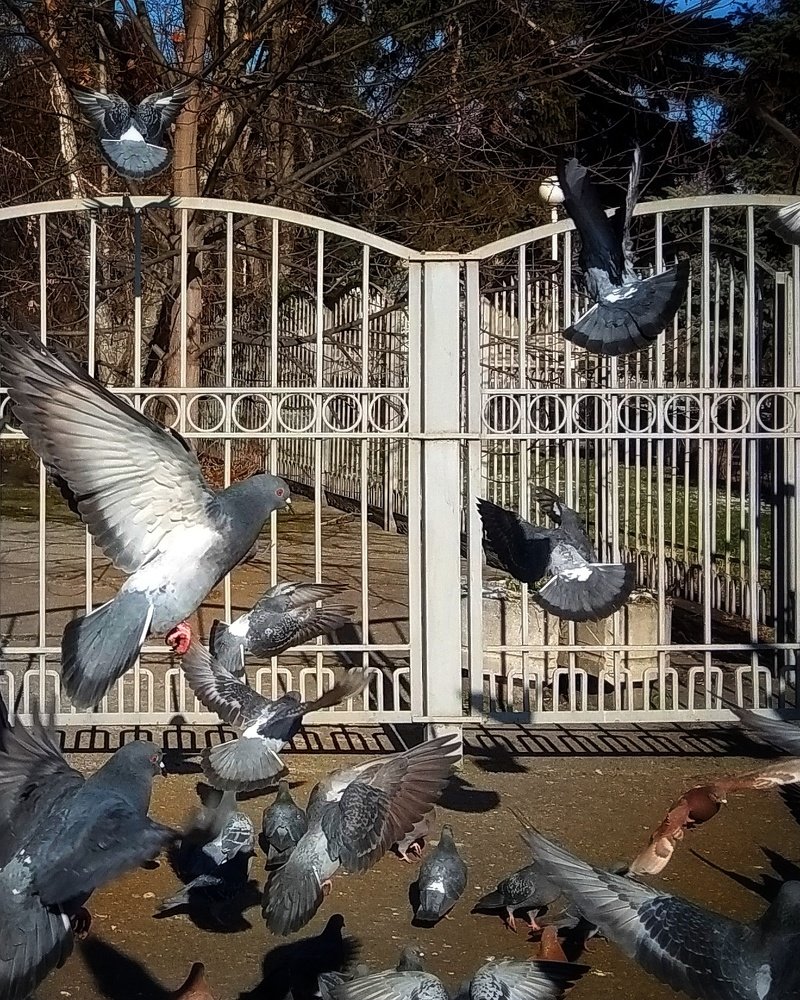Photograph by Светлана Безъязычная