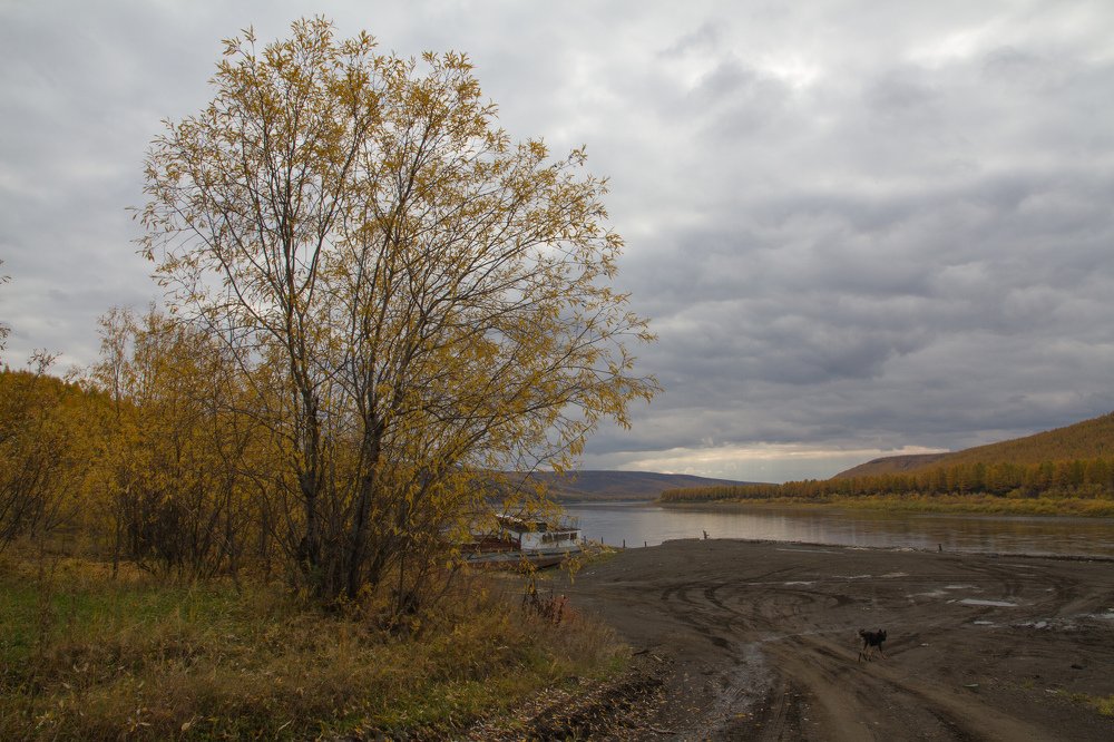 Photograph by Андрей Ходыкин