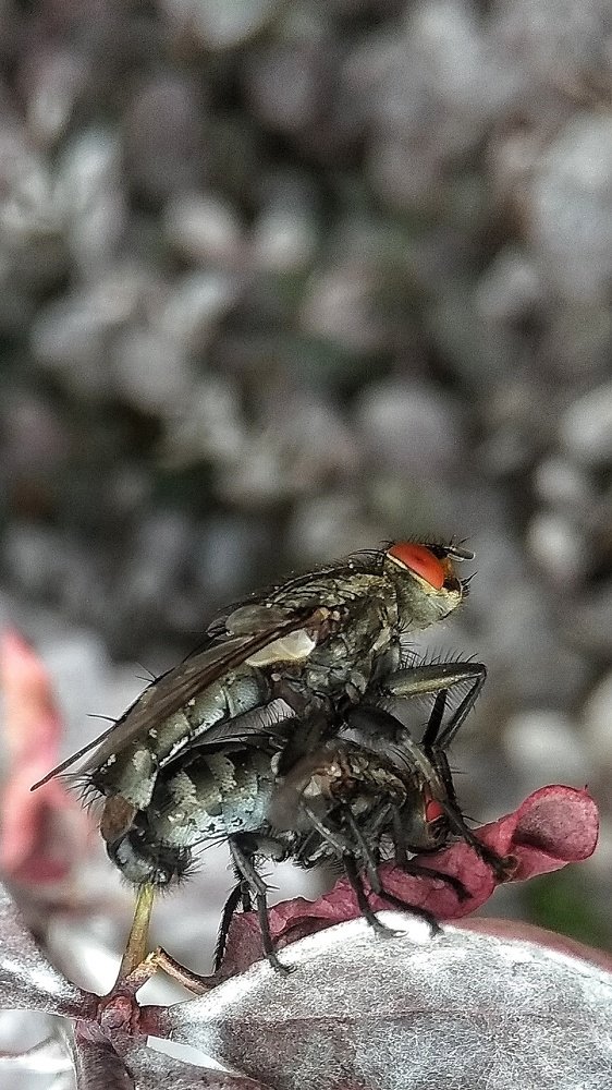 Photograph by Светлана Безъязычная