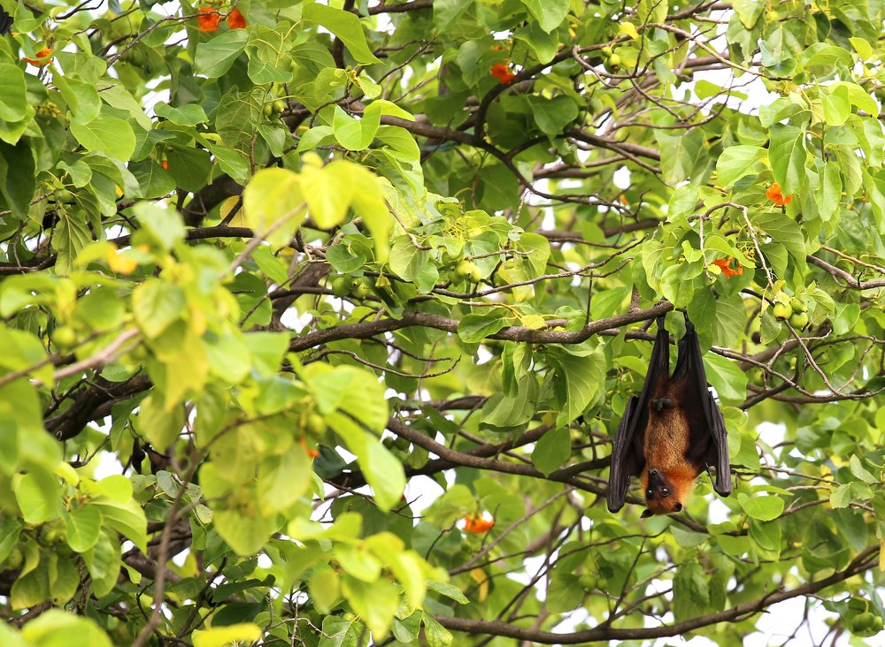 Photograph by Lisiane Kindlein