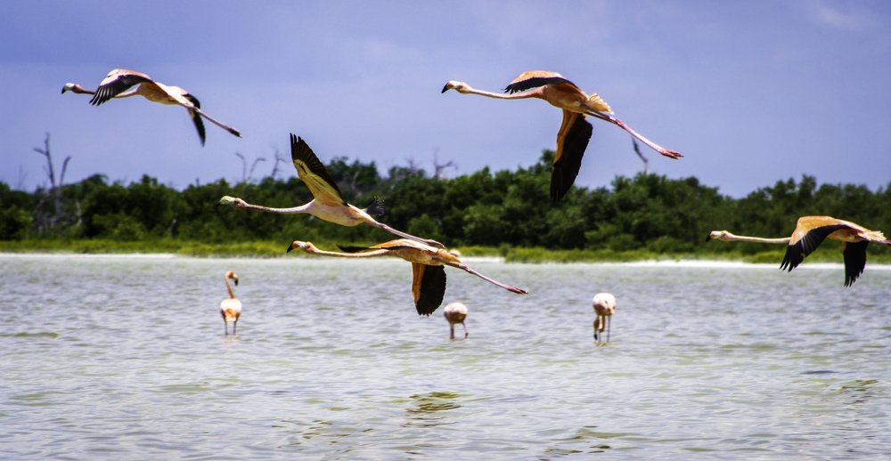 Photograph by Luis Javier Arrillaga Morones