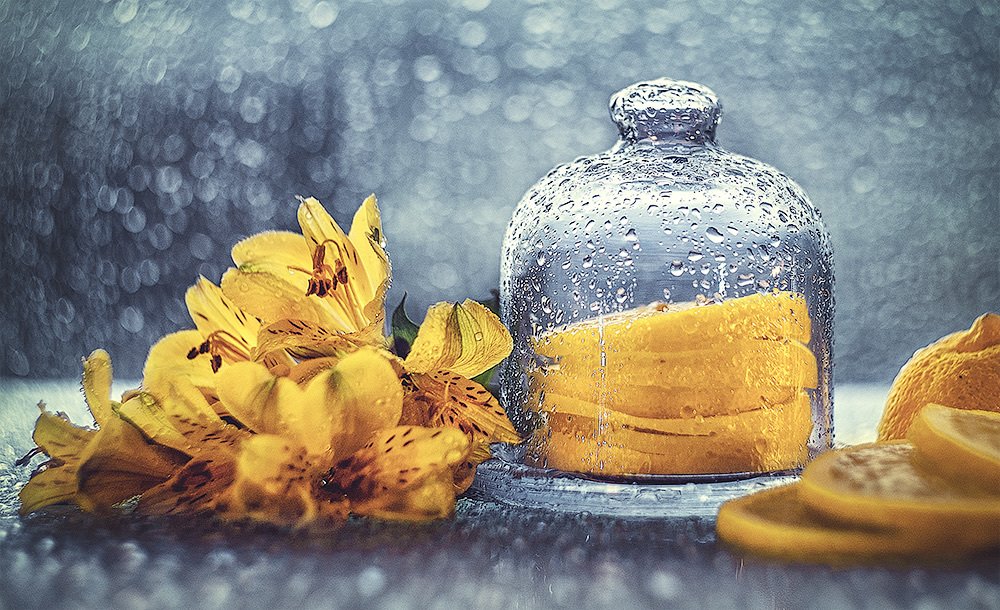 Фотография автора Виктория Шаманова