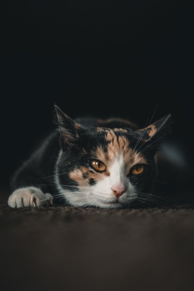 Photograph by Анна Халкониди