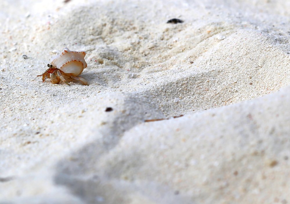 Photograph by Lisiane Kindlein