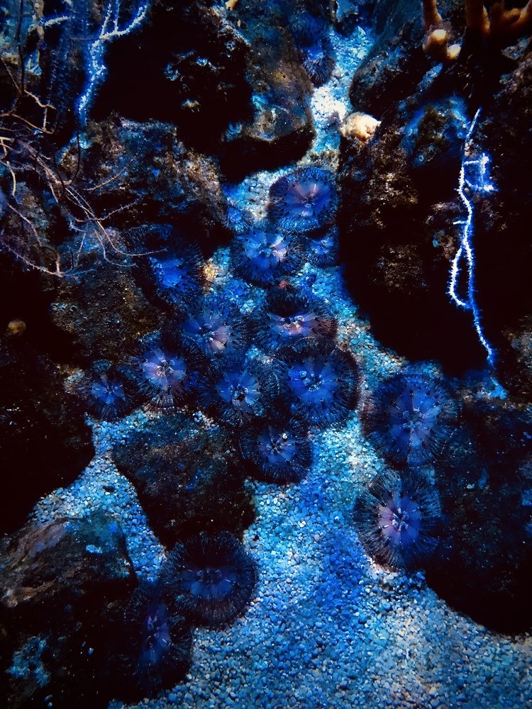 Photograph by Сергей Марченков