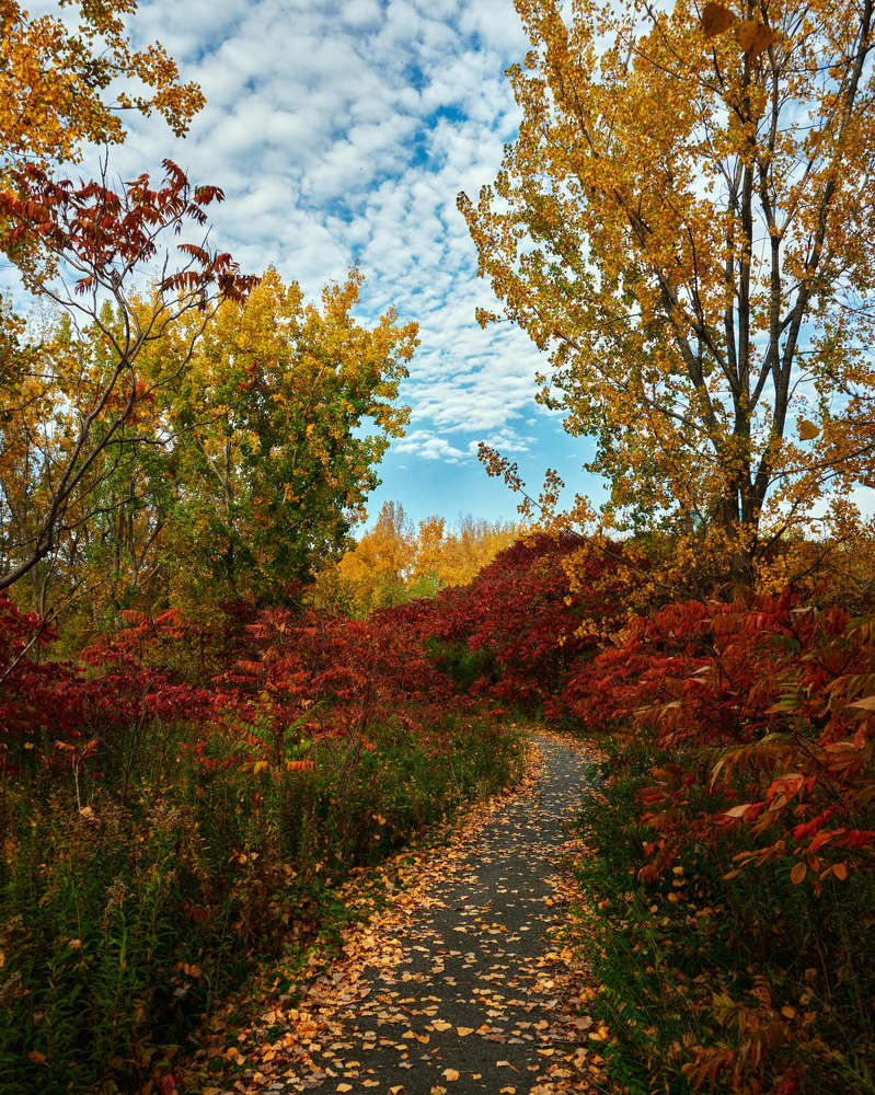 Photograph by Natalia Ghimp