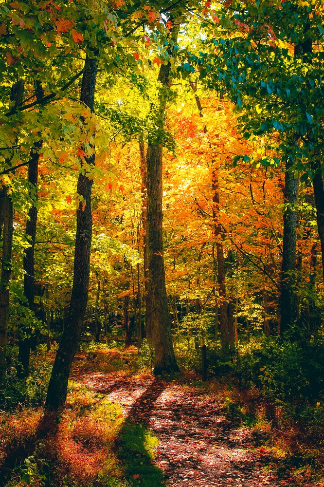 Photograph by Stephen