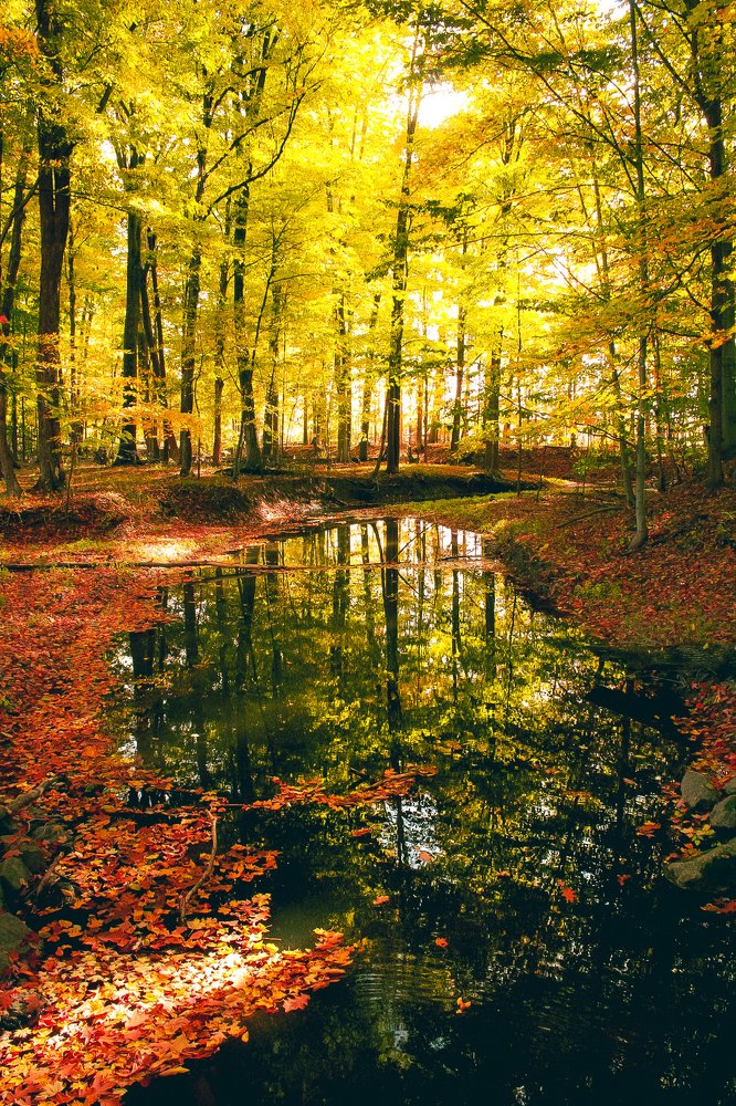 Photograph by Stephen