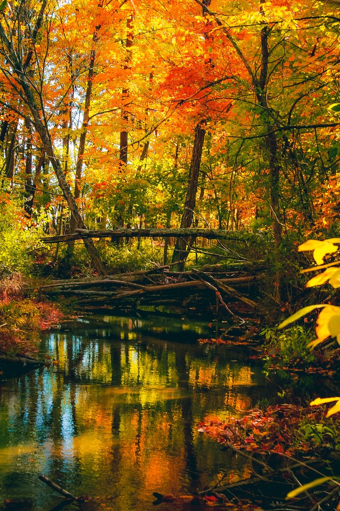 Photograph by Stephen