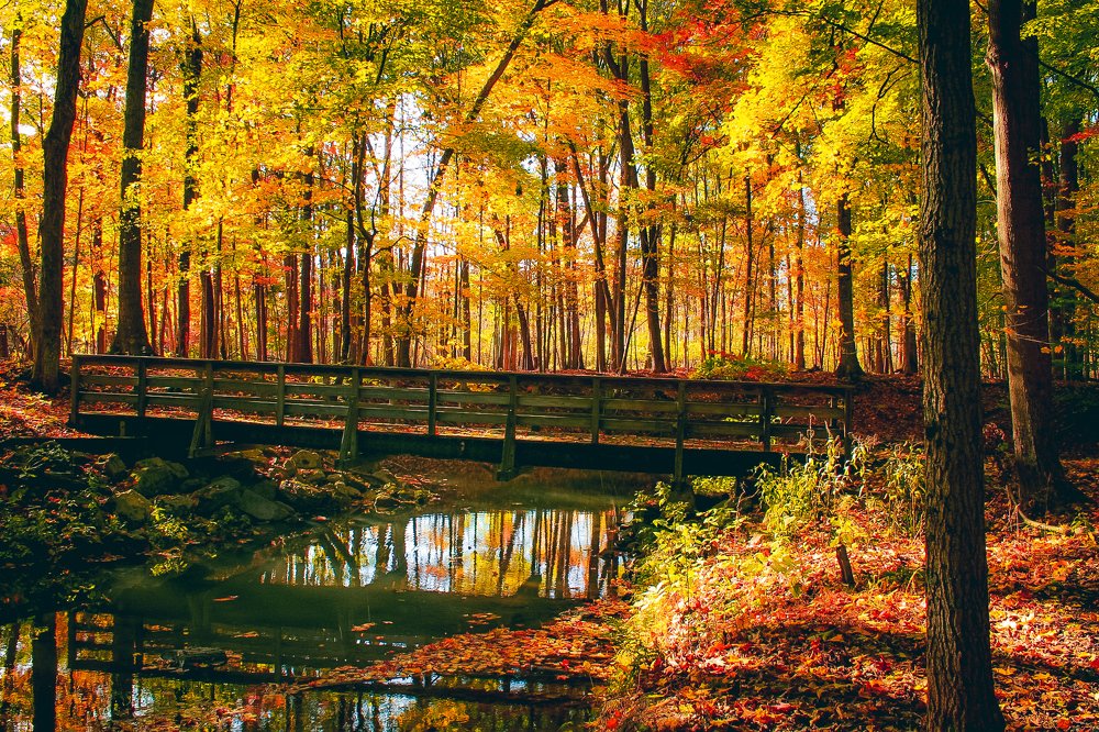 Photograph by Stephen