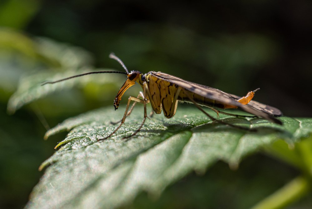 Photograph by Юрий Чернов