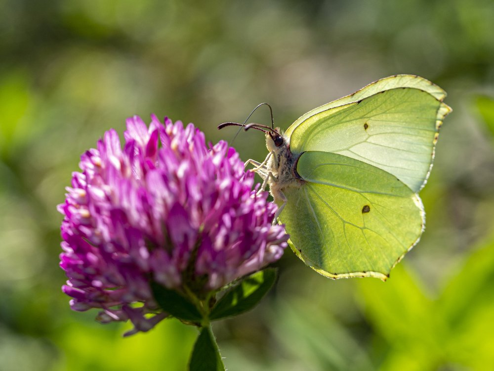 Photograph by Юрий Чернов
