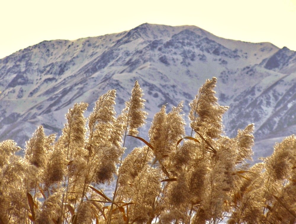 Photograph by Елена Ким