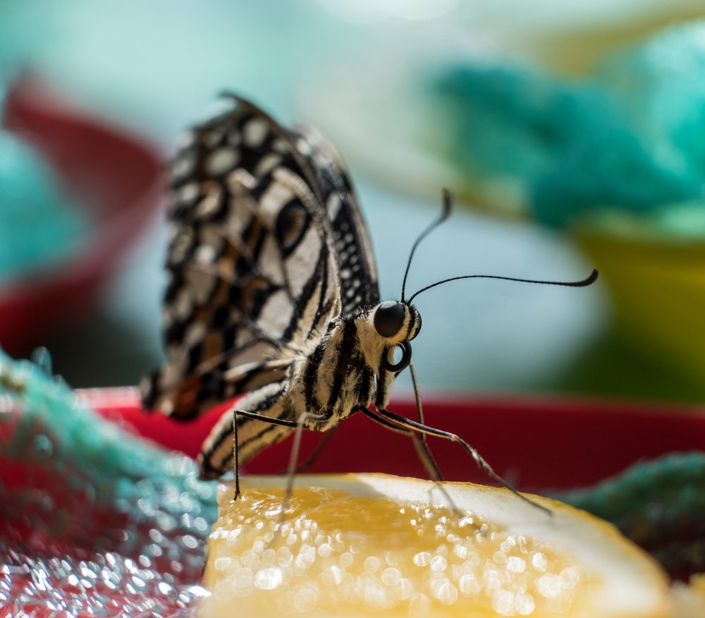 Photograph by Юрий Чернов