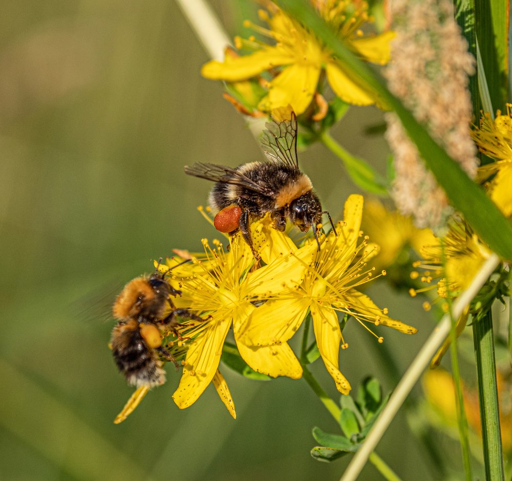 Photograph by Юрий Чернов