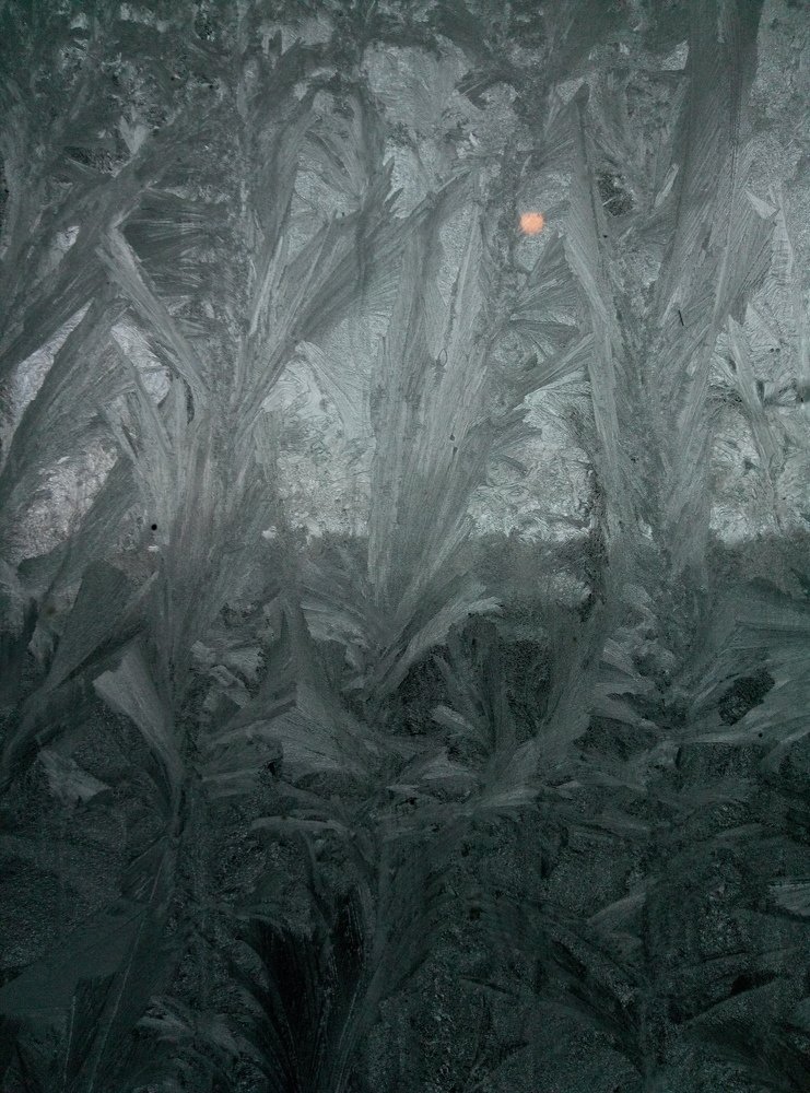 Photograph by Slesareva Nina