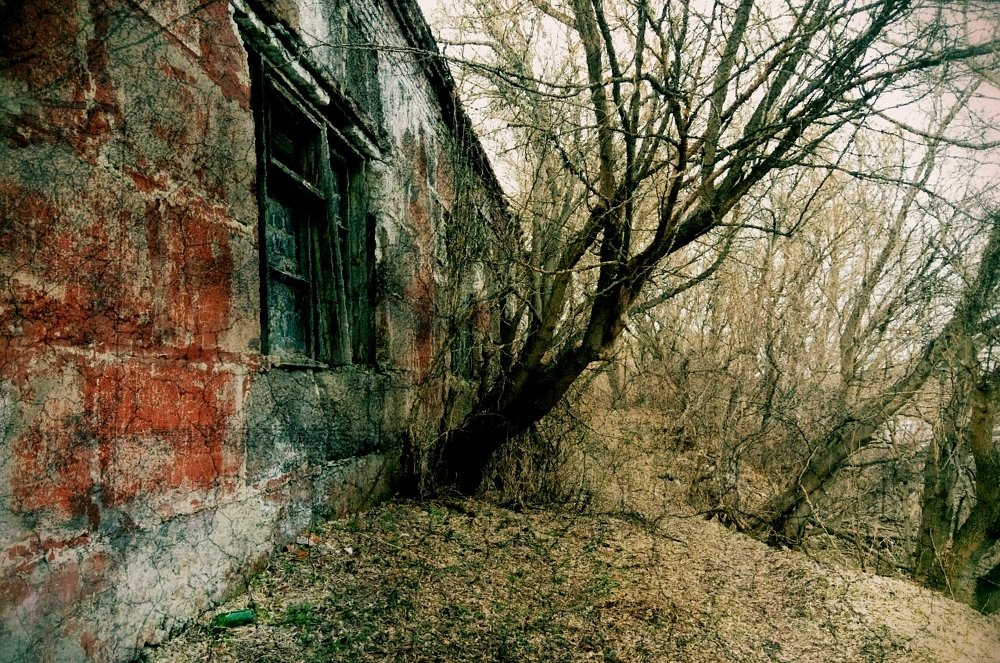 Photograph by Slesareva Nina