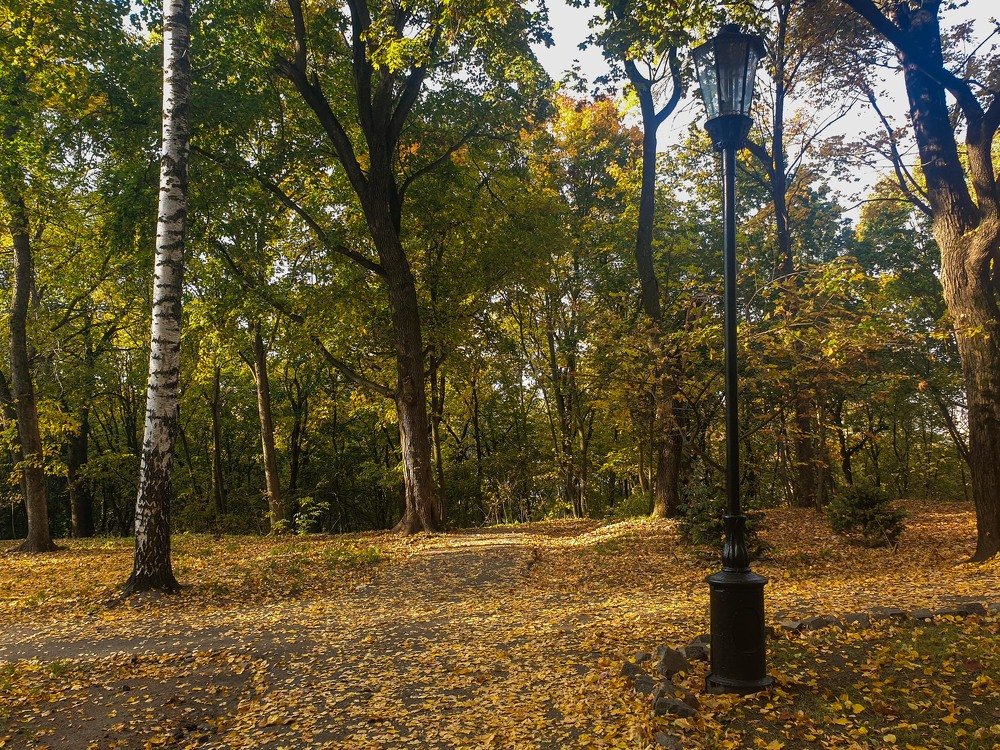 Photograph by mikhail goryachev