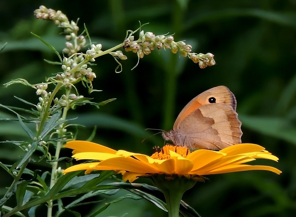 Фотография автора Роман Савоцкий