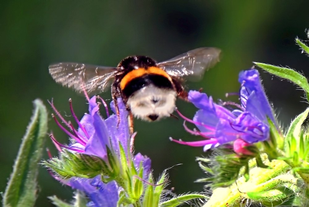 Фотография автора Роман Савоцкий