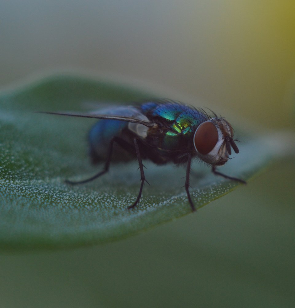 Photograph by Константин Бокарев